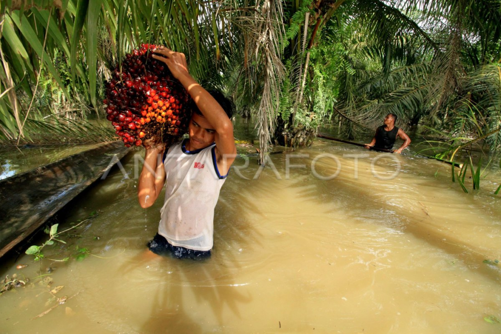 image-18-1024x683 -=- BANJIR DI SUMATRA -=-